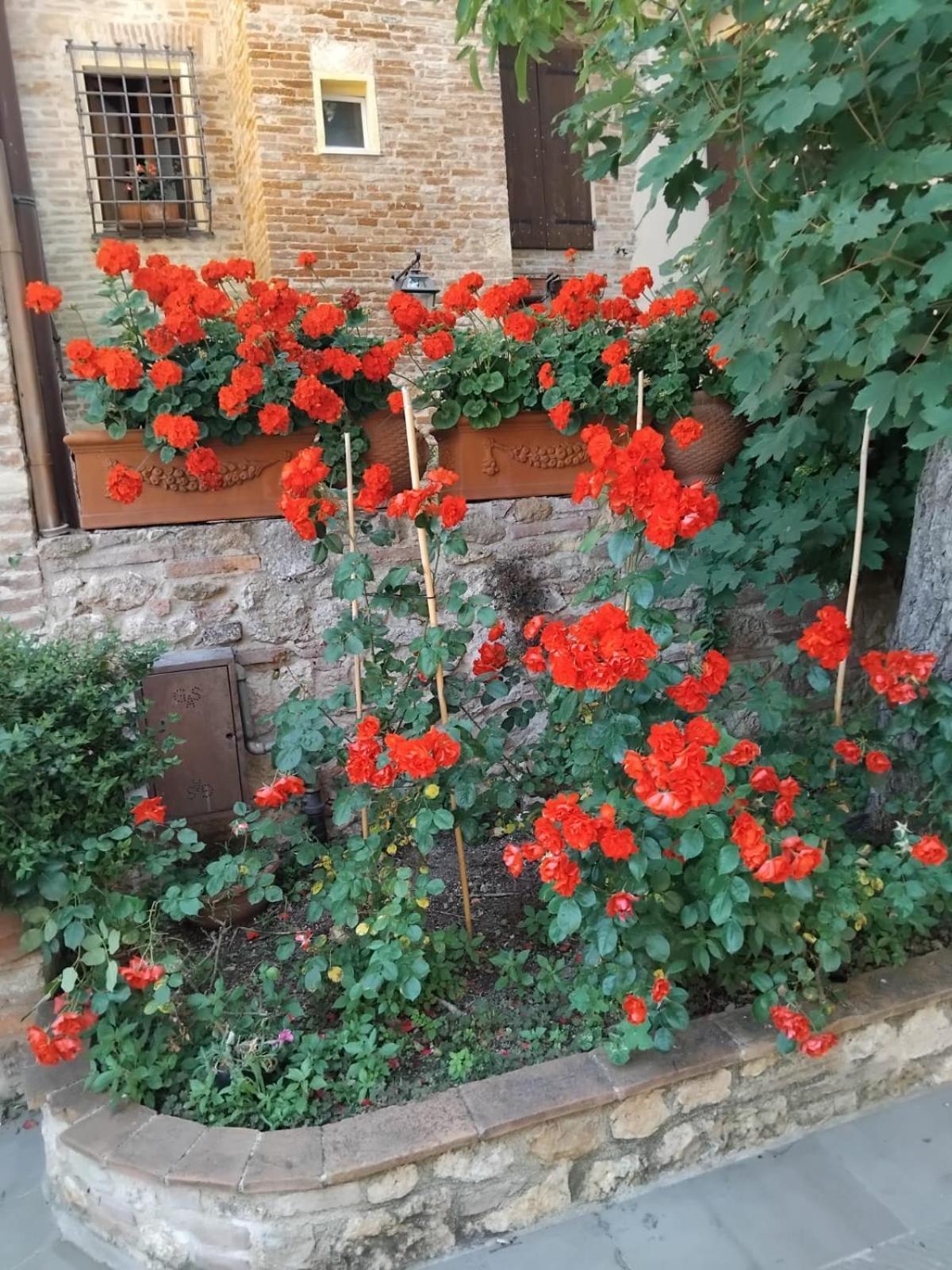 Torre Alle Antiche Mura Montepulciano Stazione Exterior foto